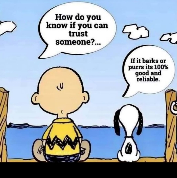 Meet your Posher, Y - Picture 1 of 1